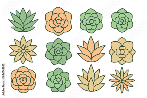 Set of stylized succulent plant icons in various shapes and colors