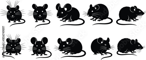 Vector Illustration Set of Black Mouse Silhouettes, Featuring Various Sitting and Crawling Rodent Poses, Pet Outlines, and Pests for Animal Design Concepts,