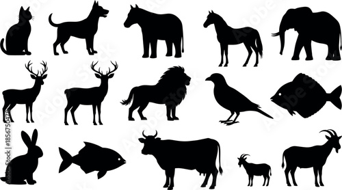 Collection of animal silhouettes including mammals fish and birds