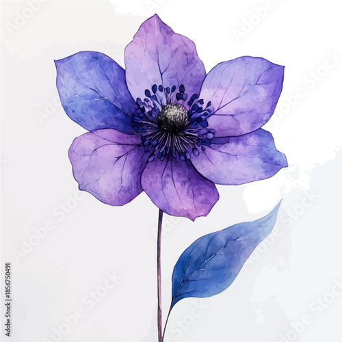 Honesty Flower, soft and charming watercolor, isolated on a white background, delicate and elegant style.