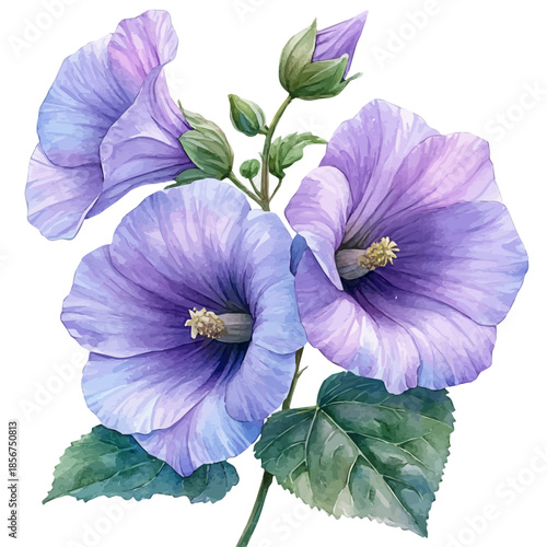 Hollyhock Flower, high quality watercolor, isolated on a white background, vibrant details.