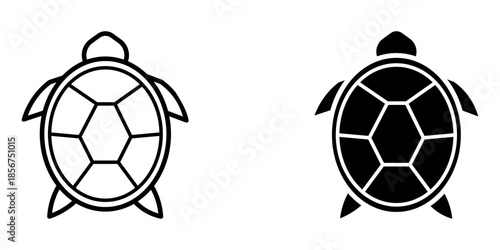  graphic turtle icon vector icon illustration