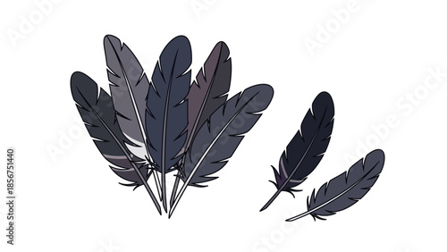 Black Feathers Isolated on White Background.