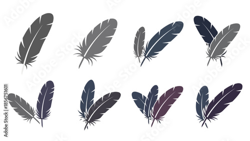 Collection of assorted feathers in various colors.