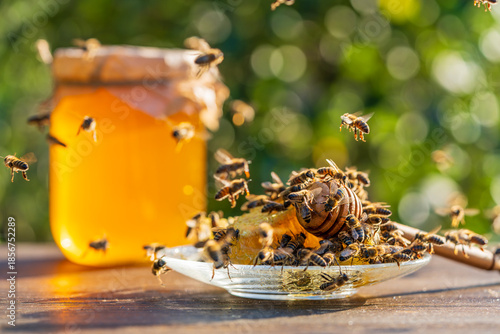 Fresh honey with wooden honey dipper and wild bees on sunny day against nature background, closeup. Healthy eating concept. Organic floral honey in glass jar against blurred background with trees