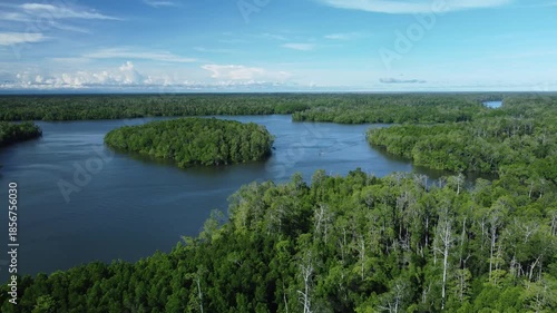 Aerial view of a winding river through a vast forest with blue sky in the background.