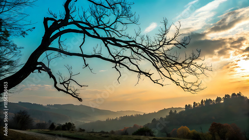 bare-tree-branches-against-bright-sky-