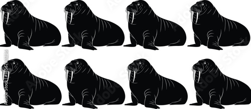 Black silhouette of walrus silhouettes in a row, flat vector illustration set isolated on white background for nature and arctic wildlife cad drawing