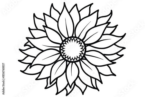 sunflower silhouette line art vector illustration