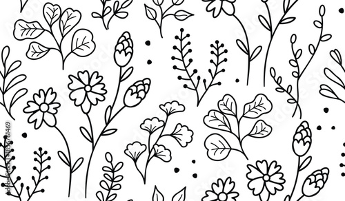 Botanical elements seamless pattern. Branches of wild plants of various shapes drawn with a black line on a white background. Floral print on fabric and paper. Vector design for textile, wallpaper.