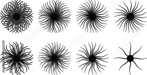 Abstract radial swirl sunburst shapes black silhouette set organic spiral elements vector illustration isolated on white background modern creative design