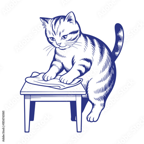 Cute Cat Doing Housework