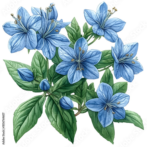 Borage Branch, watercolor illustration featuring playful movement and lively expressions, isolated on a white background.