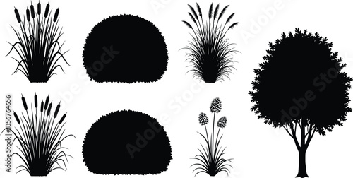 Set of plant silhouettes, tree bush and reed grass, garden landscape vegetation icons, nature design elements, black and white vector illustration