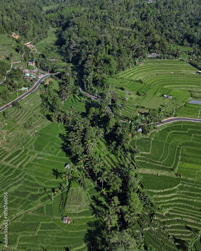Aerial Rice Terraces In Ubud Bali Showcase Layered Emerald Paddies, Winding Rural Roads, Scattered Huts, Dense