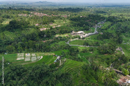 Aerial View Of Terraced Rice Fields Under Clear Blue Sky, Winding Contours Of Emerald Paddies Cascading Down