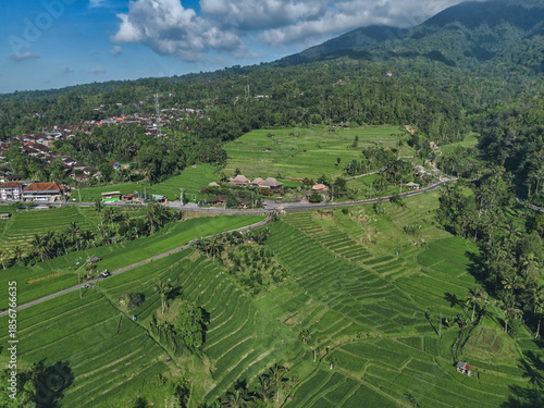 Aerial View Balinese Rice Terraces Village, Drone Surveying Emerald Paddies Beneath Mountain Backdrop,
