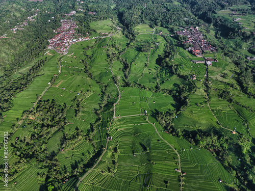 Aerial Top Down View Rice Terraces Lush Green Patchwork Of Terraced Paddies, Winding Footpaths, Scattered