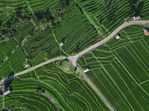 Aerial Drone View Of Rice Terraces At Crossroads, Winding Road Slicing Vibrant Green Paddies, Layered Contours