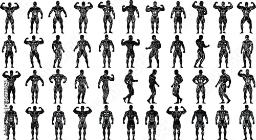Diverse Collection of Bodybuilder Silhouettes Showing Muscular Poses for Fitness Competitions Strength Training Athlete Performance Bodybuilding Championships and Weightlifting Success Concept
