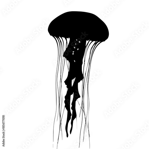 Striking black silhouette of a jellyfish with long flowing tentacles against a clean white background, showcasing its elegant aquatic form.
