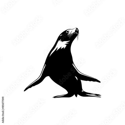 Black silhouette of a sea lion or seal standing upright, looking towards the sky.