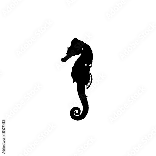 A striking black silhouette of a seahorse with a curled tail on a clean white background.