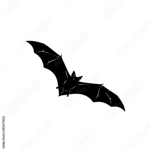 A black silhouette of a bat with outstretched wings flying against a white background, depicting a nocturnal creature in flight.