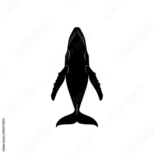 Top-down view of a black silhouette of a humpback whale swimming, isolated on a white background, showcasing its distinctive flippers and tail.