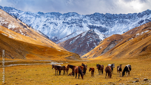 Tian Shan mountains glacier and snow summits on a sunny day with blue sky. Kyrgyzstan mountains on the border with China high altitude snow and glacier trek, climbing and alpinism in the wilderness