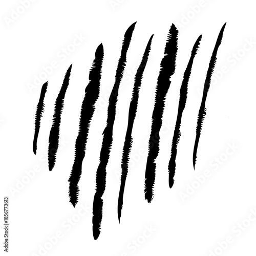 Abstract claw scratch marks vector creating grunge and wild texture.