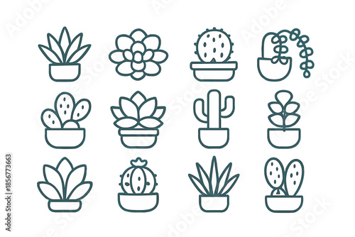Set of stylized succulent and cactus icons