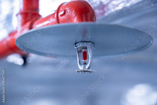 fire sprinkler on red fire pipe
