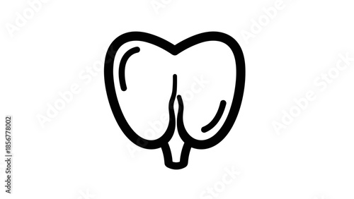 Simple Line Drawing of a Tooth.