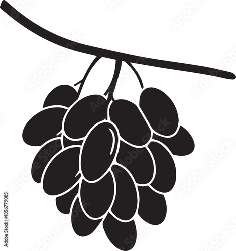 Black and white illustration of a bunch of grapes on a vine