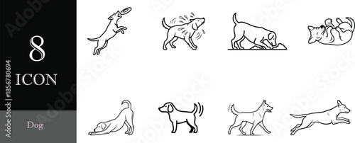 vector illustration of a set of floral elements