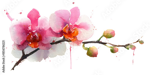 Watercolor orchid flower branch with pink blossoms