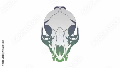 Stylized Skull Illustration with Gradient Color Transition from Grey to Green