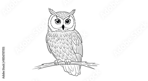 Hand-drawn detailed owl sketch sitting on a tree branch, perfect for adult coloring books and nature-inspired creative projects.