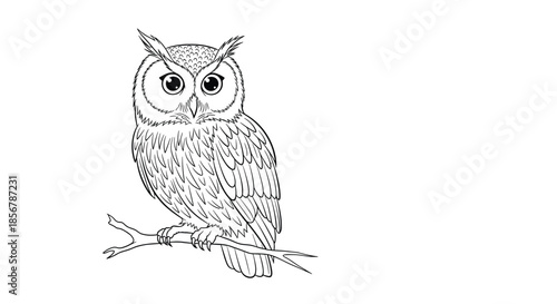 Detailed owl line art sitting on a tree branch, a perfect coloring project for nature enthusiasts and bird lovers of all skill levels.