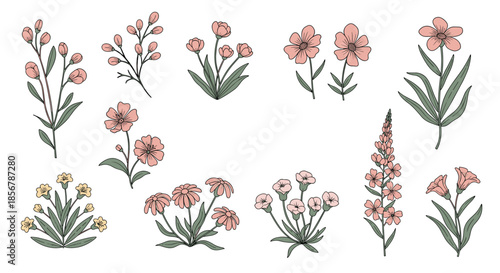 Detailed set of various wildflowers and plants in soft pink and yellow tones, perfect for botanical illustrations and vintage garden designs.