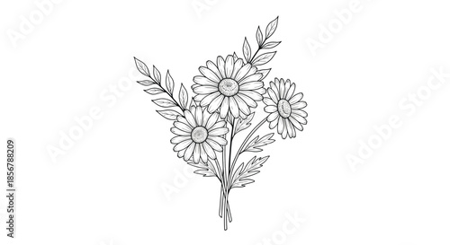Detailed black and white line art illustration of a beautiful bouquet featuring daisies and delicate leaves on a white background.