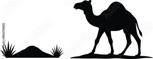Camel silhouette walking across a desert landscape with sparse vegetation