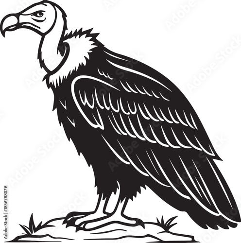 the vulture vector illustration of a black hawk silhouette and cartoon bird head with a sharp beak perched on a branch for a nature tattoo symbol of freedom