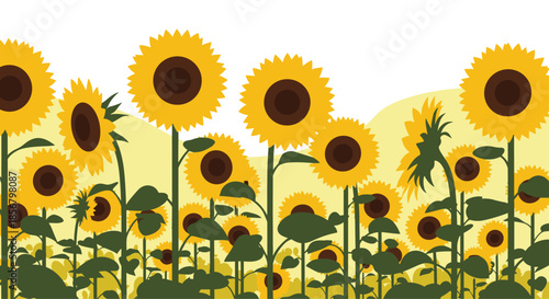 Bright field of sunflowers reaching towards the sky on a sunny day illustrated in a simple and cheerful style.