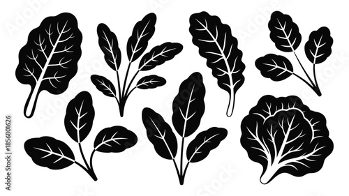 Black silhouette icons of various leafy greens leaves salad