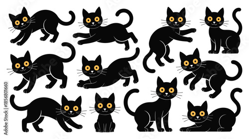 Collection of black cats in various poses feline animal