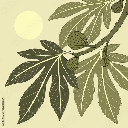 A stylized illustration features fig leaves several figs hanging from branches and a soft yellow sun in the background