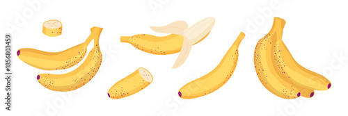 Yellow ripe banana isolated set. Whole, half banana and slices on a white background.