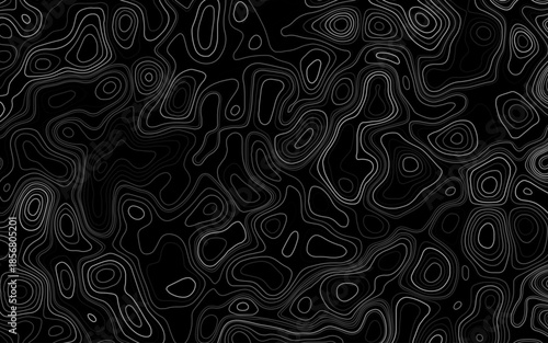 Vector illustration. Abstract contours form digital landscape. Abstract Topography line poster vector. The concept of a topographic contour geography scheme and the terrain path.	
